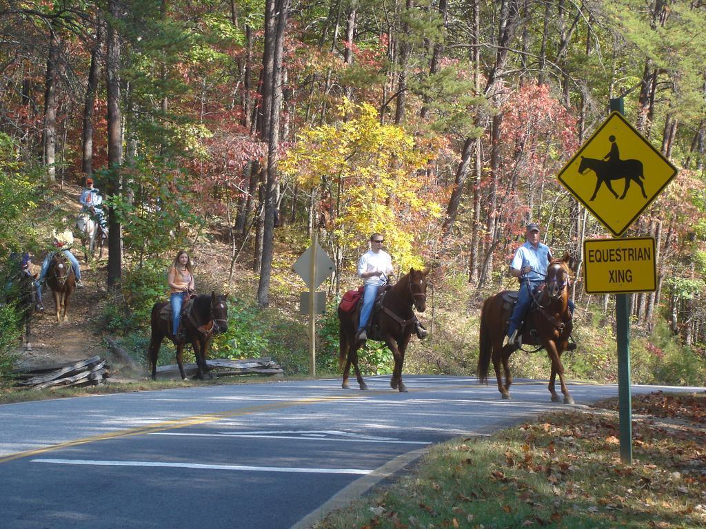Brasstown Valley Resort & Spa Young Harris Eksteriør bilde