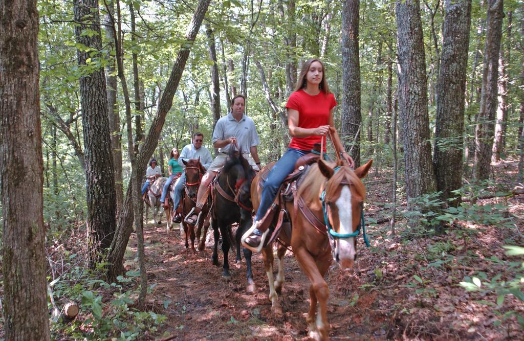Brasstown Valley Resort & Spa Young Harris Eksteriør bilde