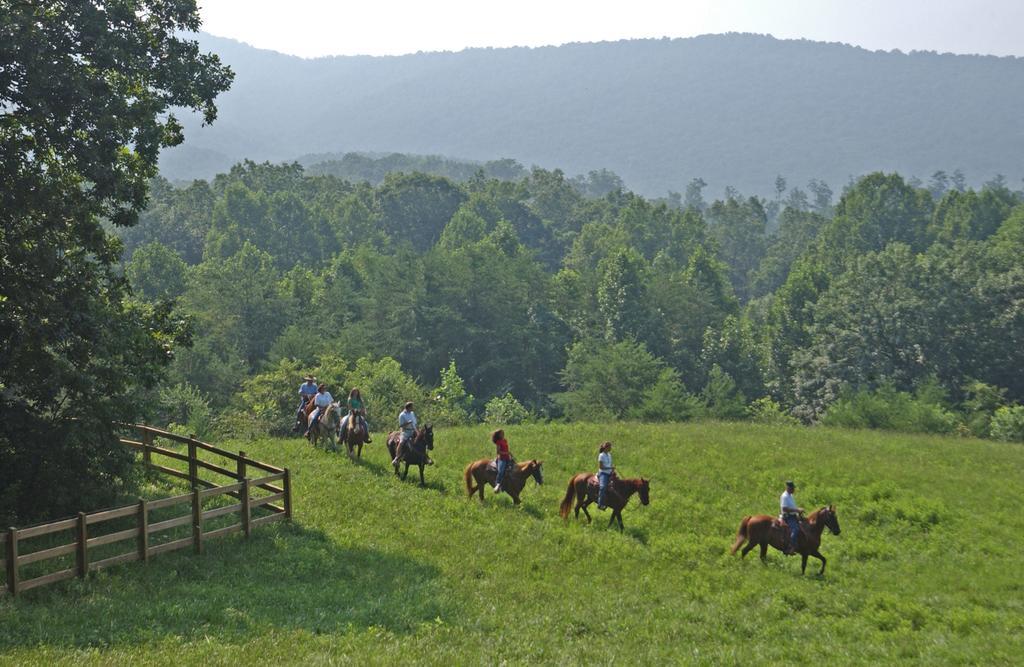 Brasstown Valley Resort & Spa Young Harris Eksteriør bilde